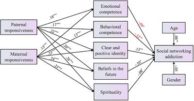 Positive Youth Development Attributes and Parenting as Protective Factors Against Adolescent Social Networking Addiction in Hong Kong